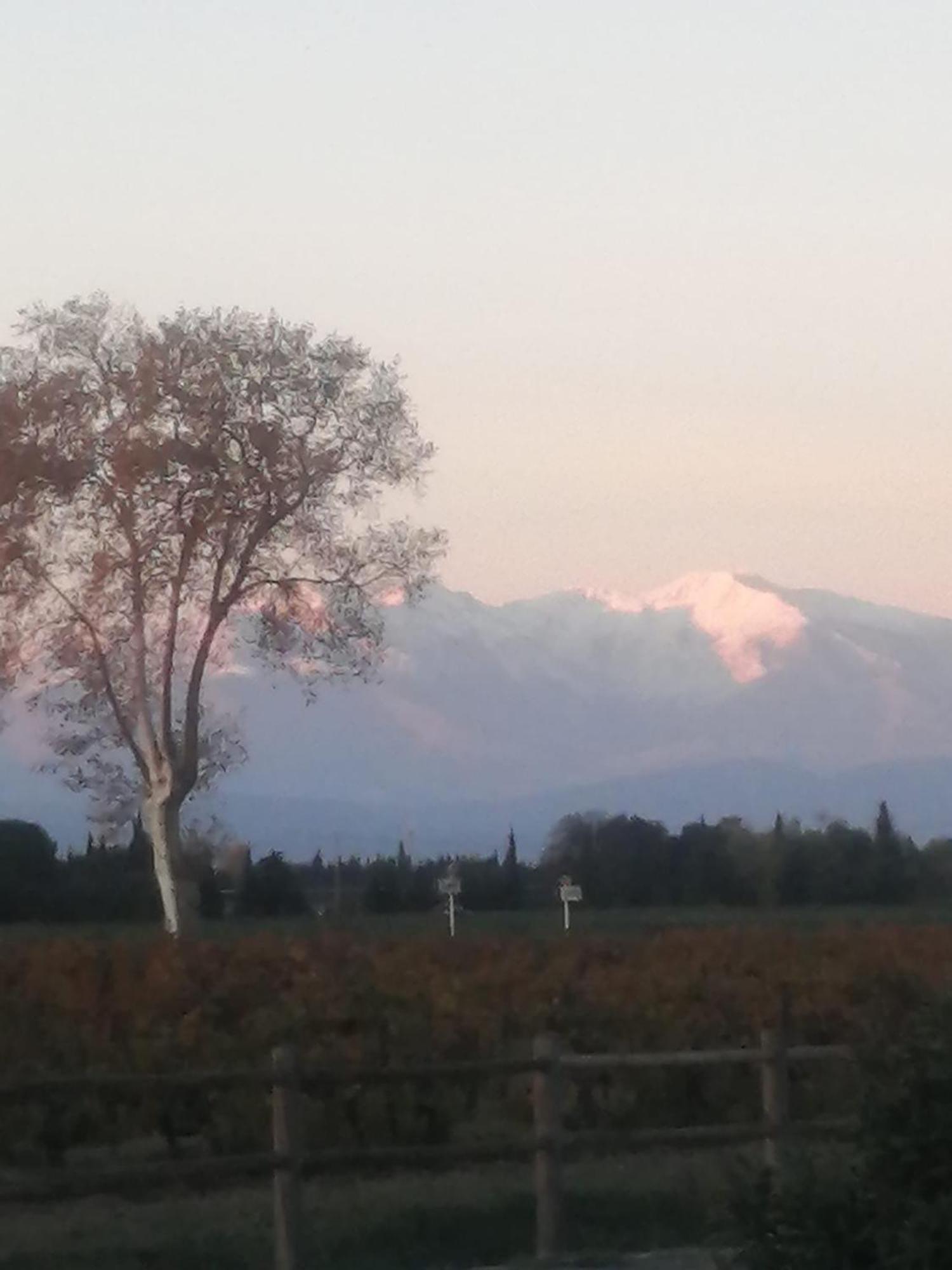 Appart Entre Mer Et Montagne, Linges Inclus Alénya Exterior foto